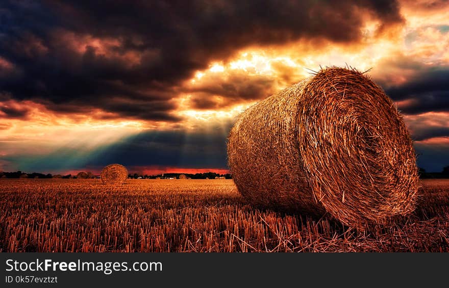 Sky, Field, Hay, Straw