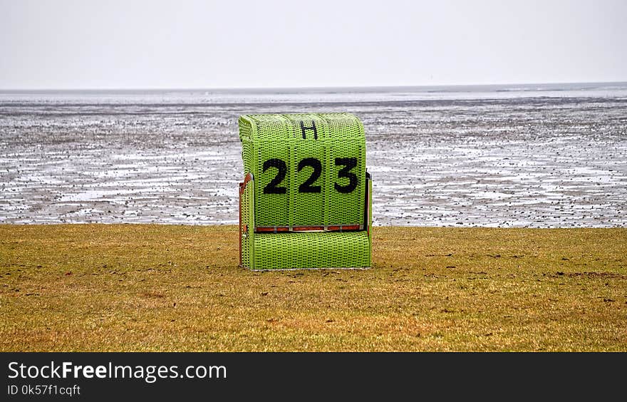 Green, Yellow, Water, Grass