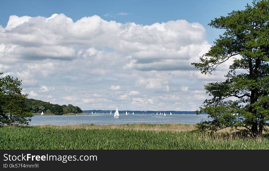 Sky, Cloud, Nature Reserve, Shore