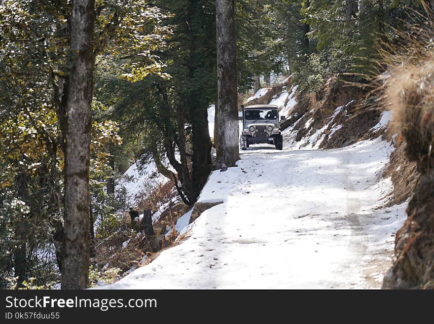 Snow, Winter, Path, Trail