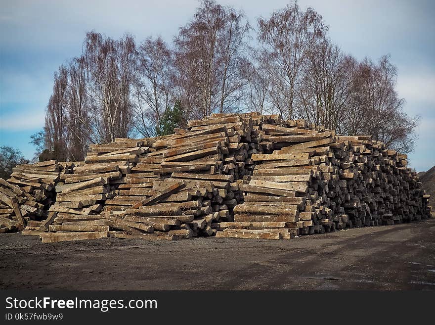 Wood, Tree, Historic Site, Lumber