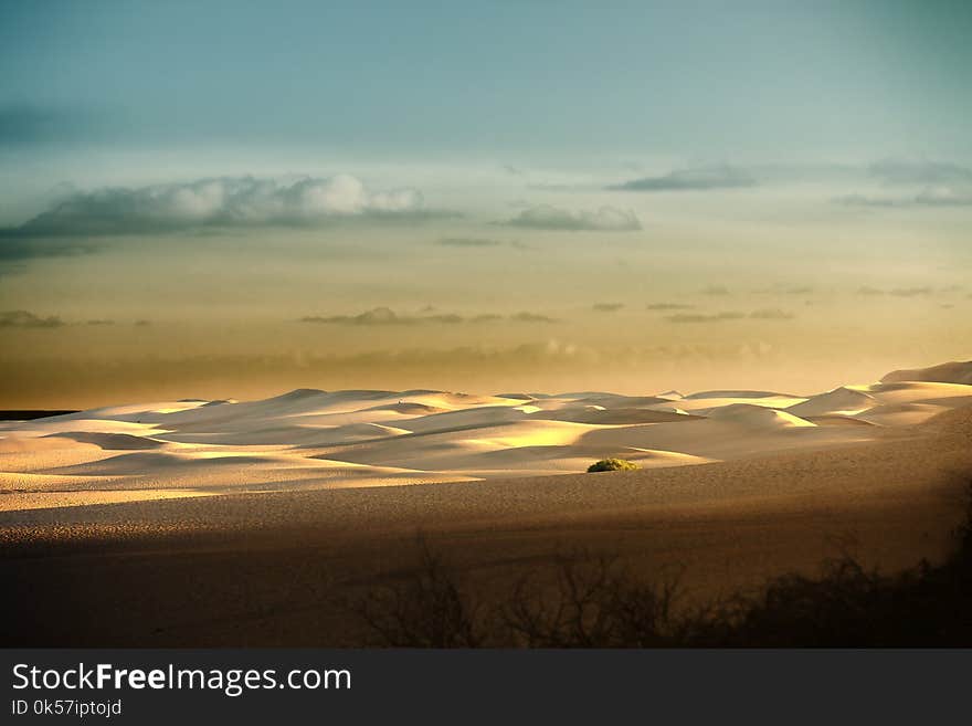 Sky, Horizon, Ecosystem, Morning