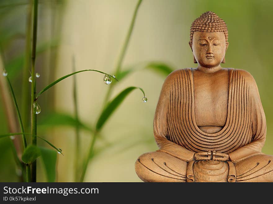 Statue, Gautama Buddha, Meditation, Temple