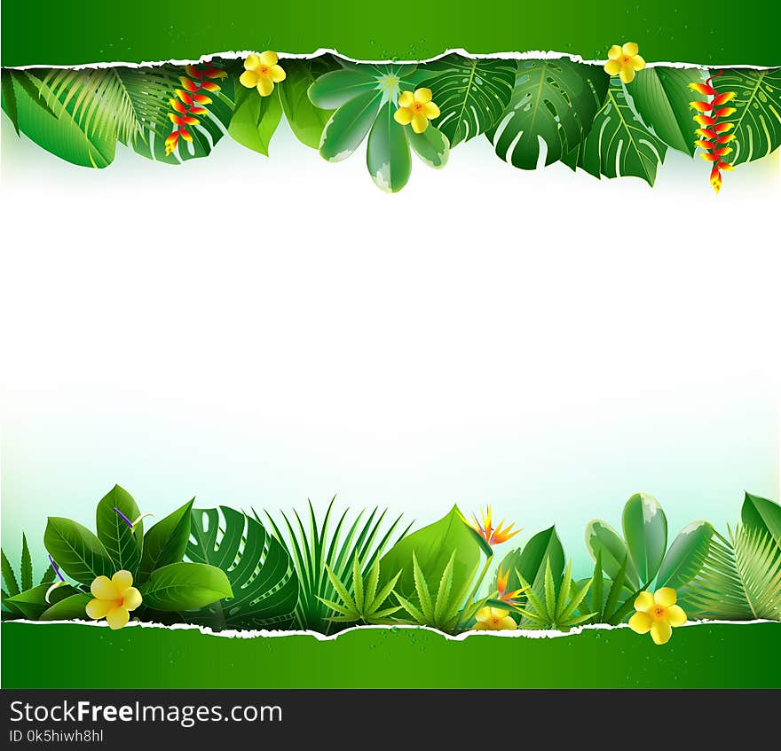 Green tea leaves vector nature background.