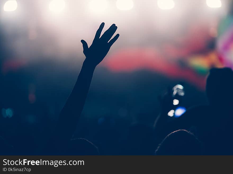 Cheering crowd at concert enjoying music performance