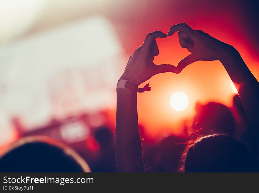 Cheering crowd with hands in air at music festival