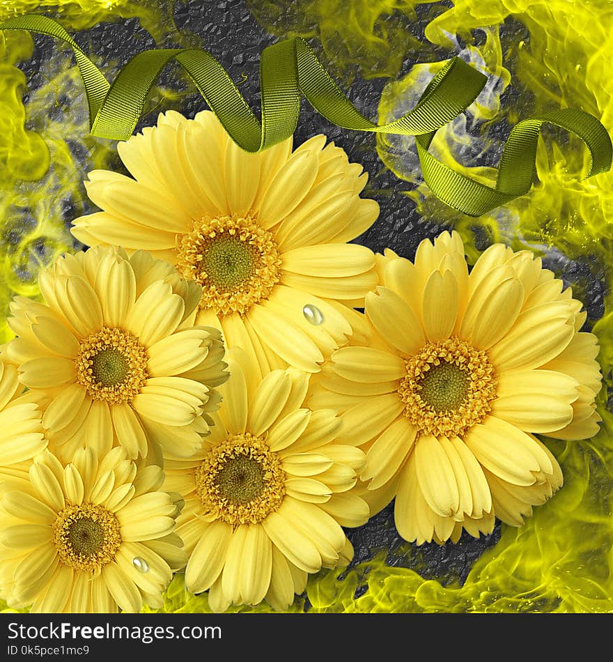 Flower, Yellow, Sunflower, Flowering Plant