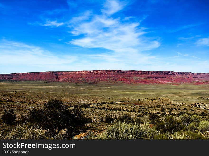 Sky, Ecosystem, Grassland, Plain