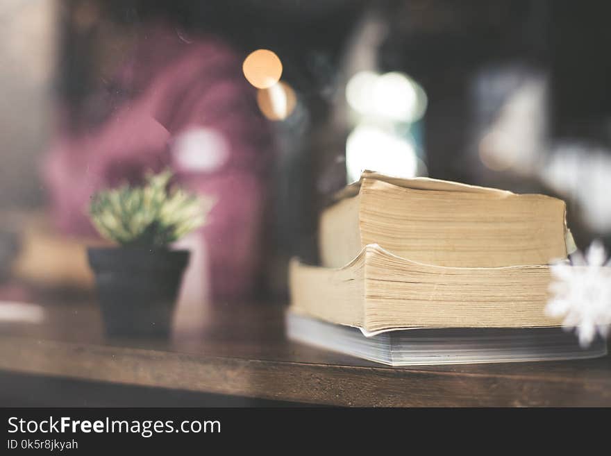 Cactus flower with book on wood table modern interior background concept.