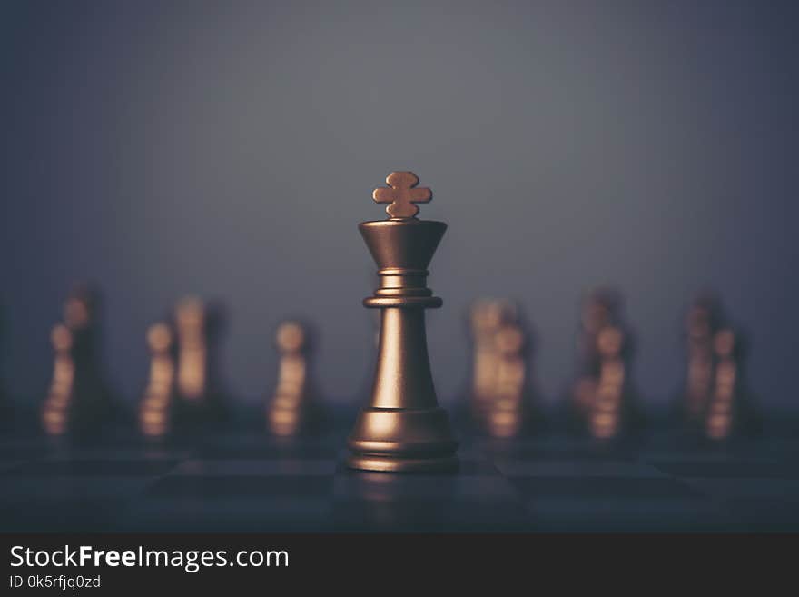 King and Knight of chess setup on dark background . Leader and t