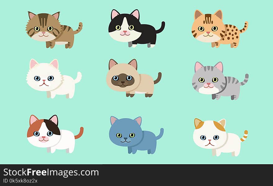 Cute pet cat breed collection flat style