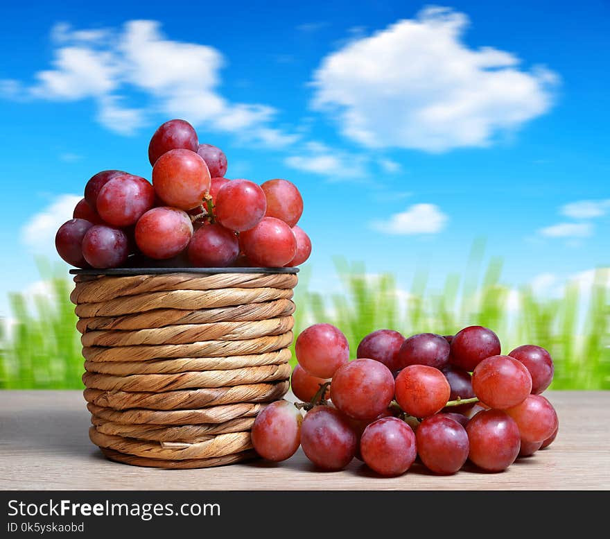 Ripe grape vine in wooden basket. Summer harvest. Gardening concept.