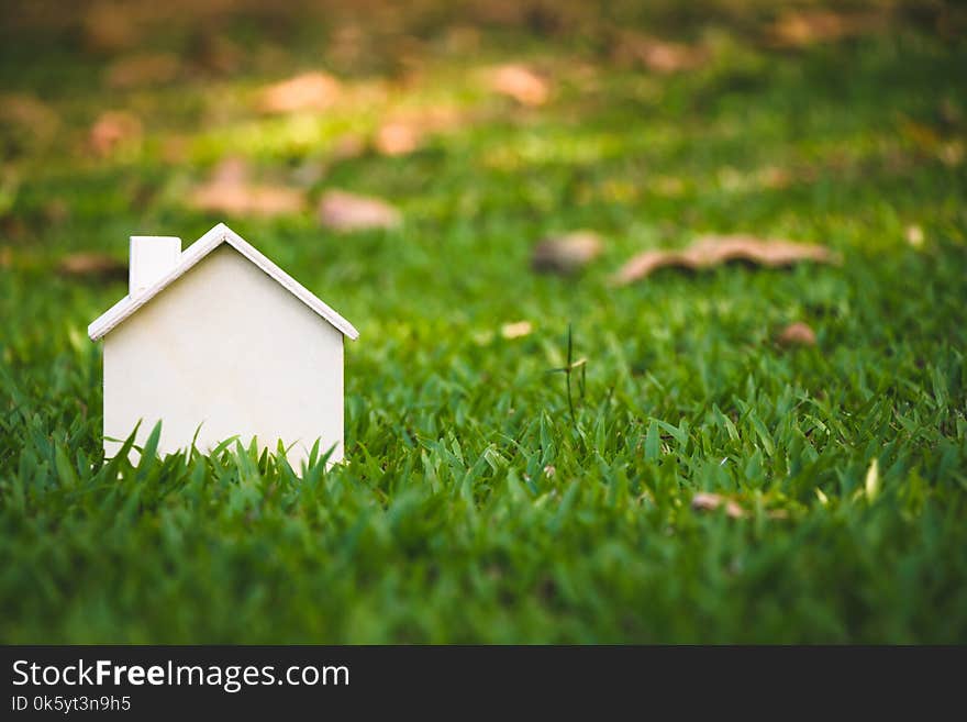 House on the grass in nature, Concept Investment in real estate finance. House on the grass in nature, Concept Investment in real estate finance.