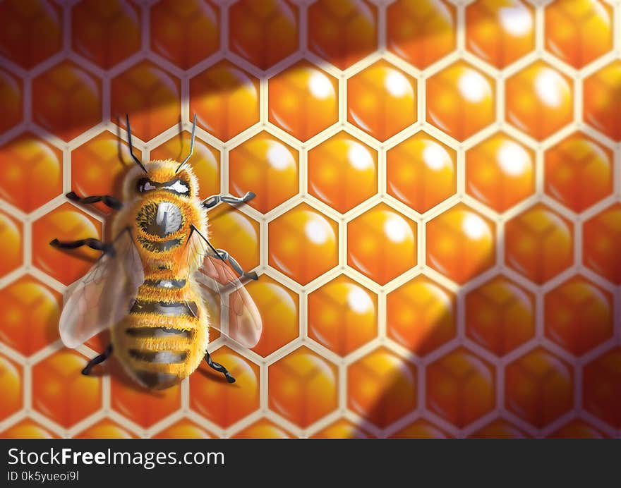 Digital illustration of bee inside a beehive with light shining in. Digital illustration of bee inside a beehive with light shining in