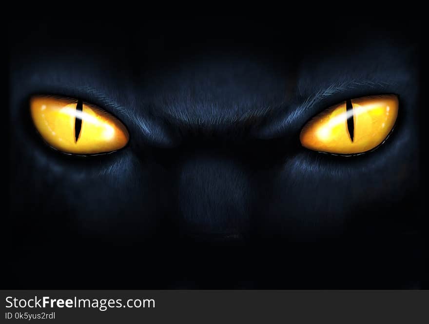 Digital illustration of close up of cats eyes. Digital illustration of close up of cats eyes