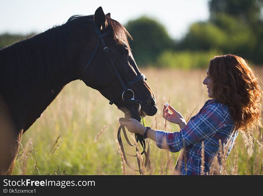 Portrait of a red hair woman and horse in the meadow at sunny summer