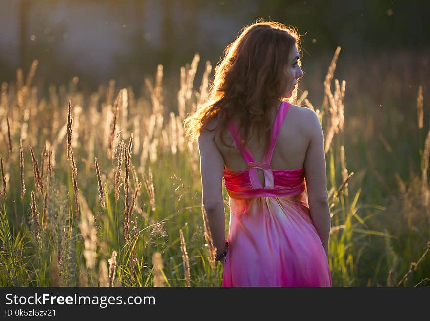 Attractive young woman walking on meadow at sunset - rear view, summer evening