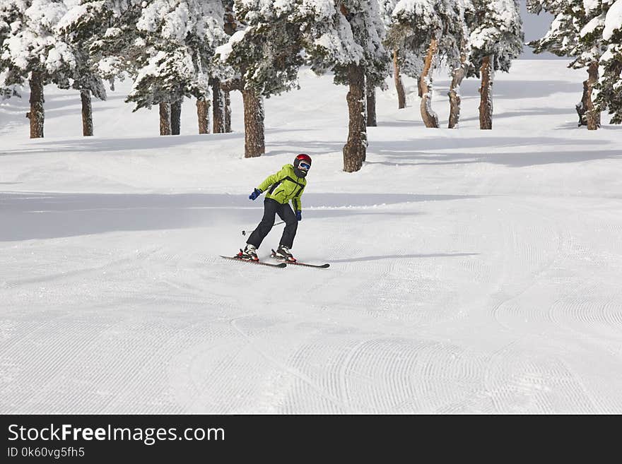 Skiing on a beautiful snow forest landscape. Winter sport