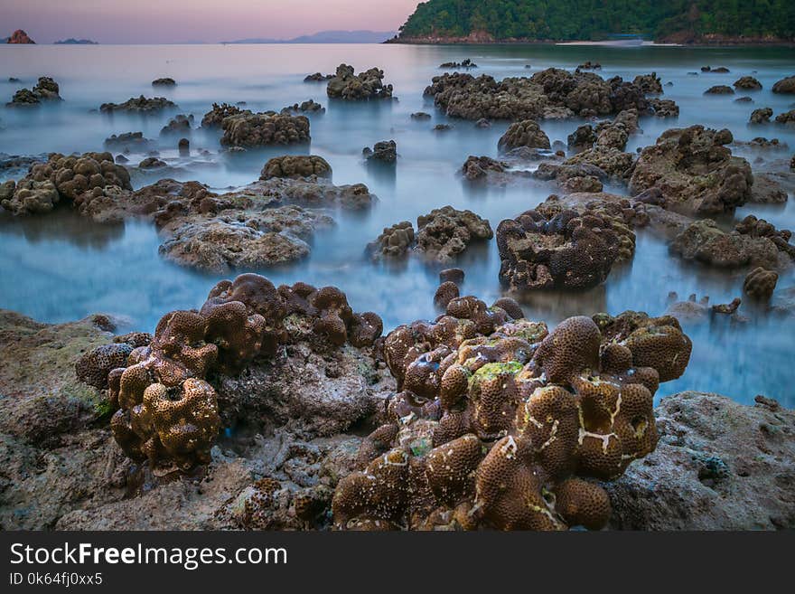 coral rock around beach during ebb tide and sunset time wide shot background