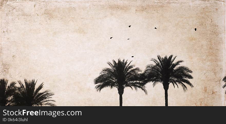 Artwork in retro style, flying birds, palm trees, silhouette. Artwork in retro style, flying birds, palm trees, silhouette