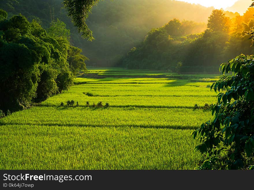 Sunlight shine behind Mountain valley and fog during natural winter landscape in Nan, Thailand