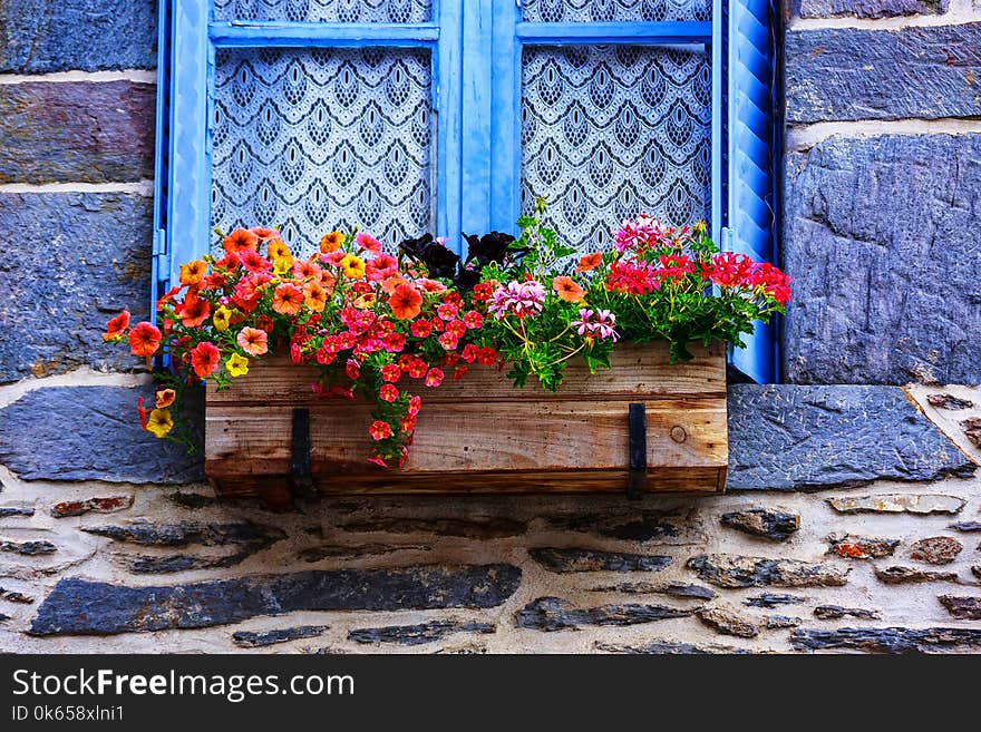 closeup on flower pot placed at the window of old house