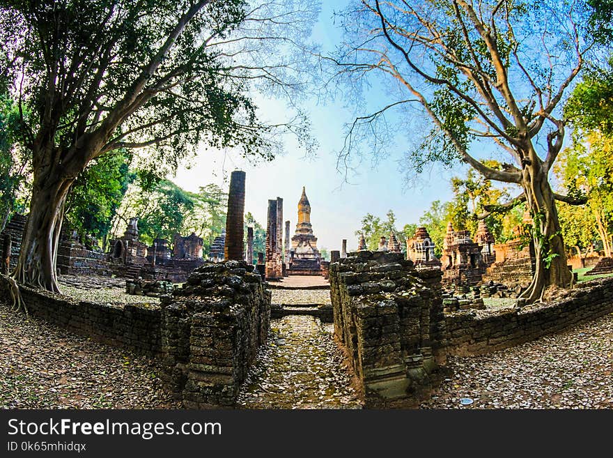 Fish Eye Lens Pathway Along the Temple