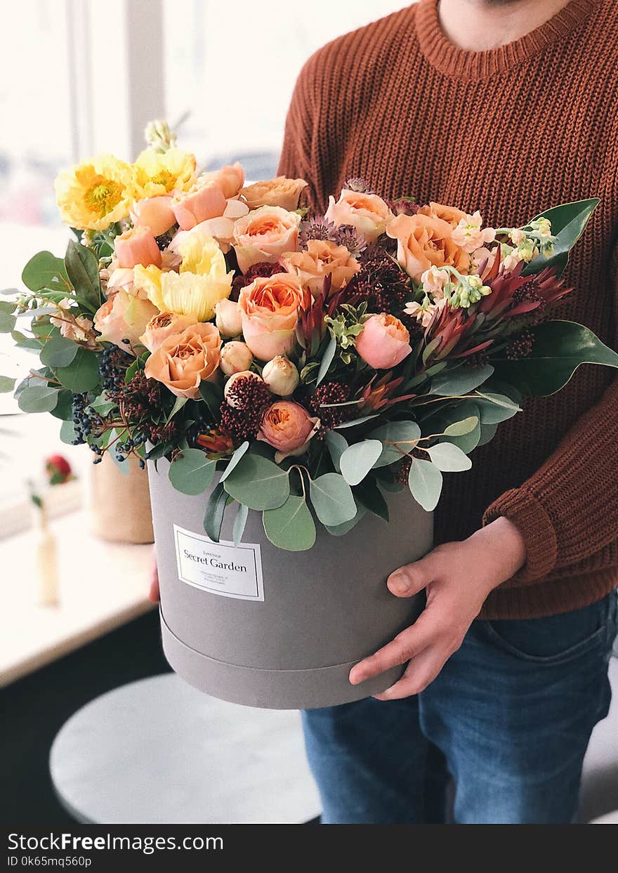 Orange Tulips in Gray Plant Pot