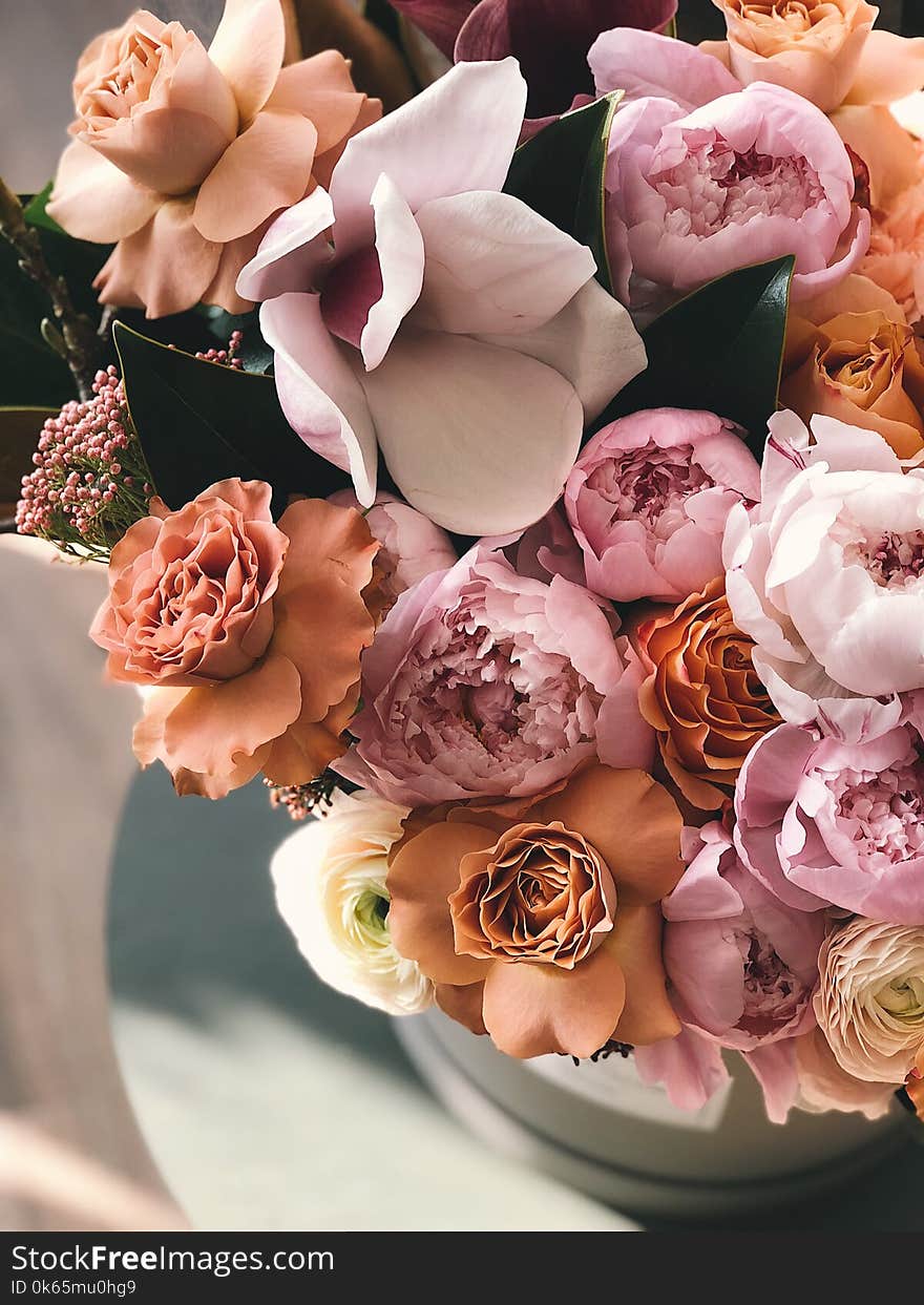 White, Brown, and Purple Petaled Flowers