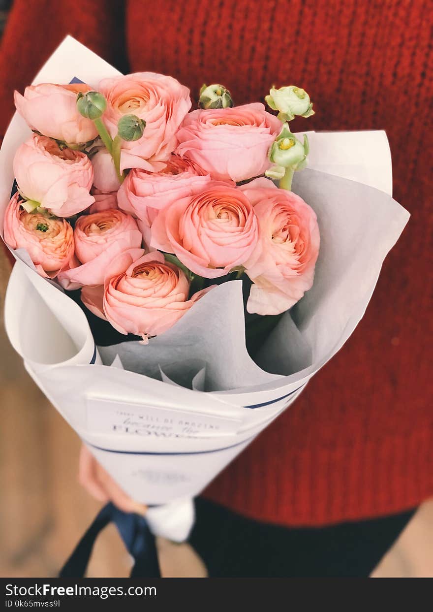 Person Wearing Red Sweater and Black Pants Holding Bouquet of Pink Flowers