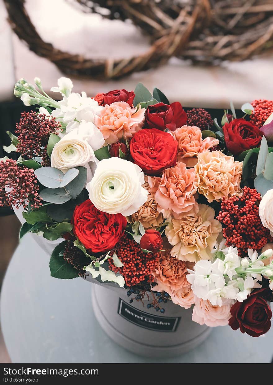 White, Red, Orange, and Brown Flowers