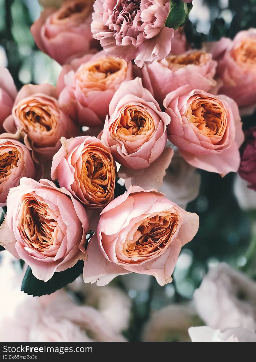 Pink Rose Flower Bouquet