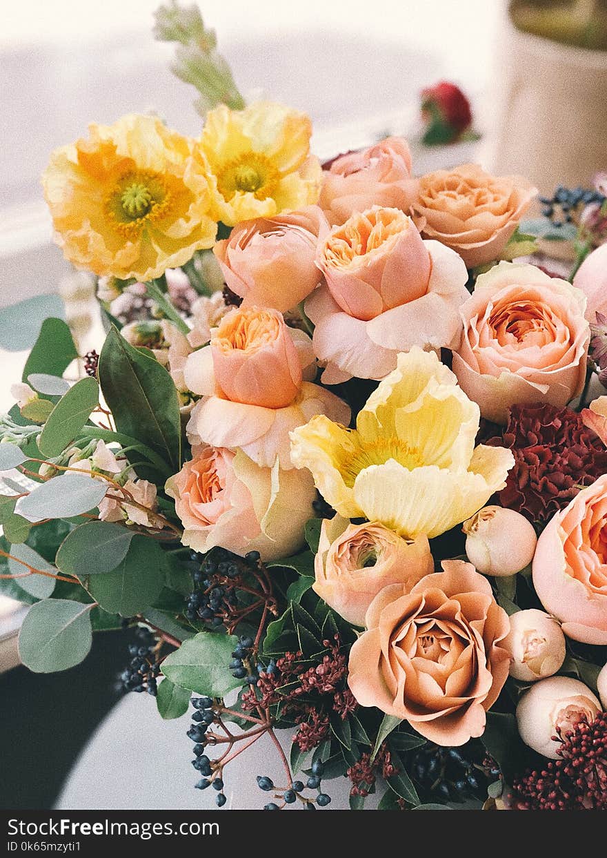 Pink and Yellow Flowers