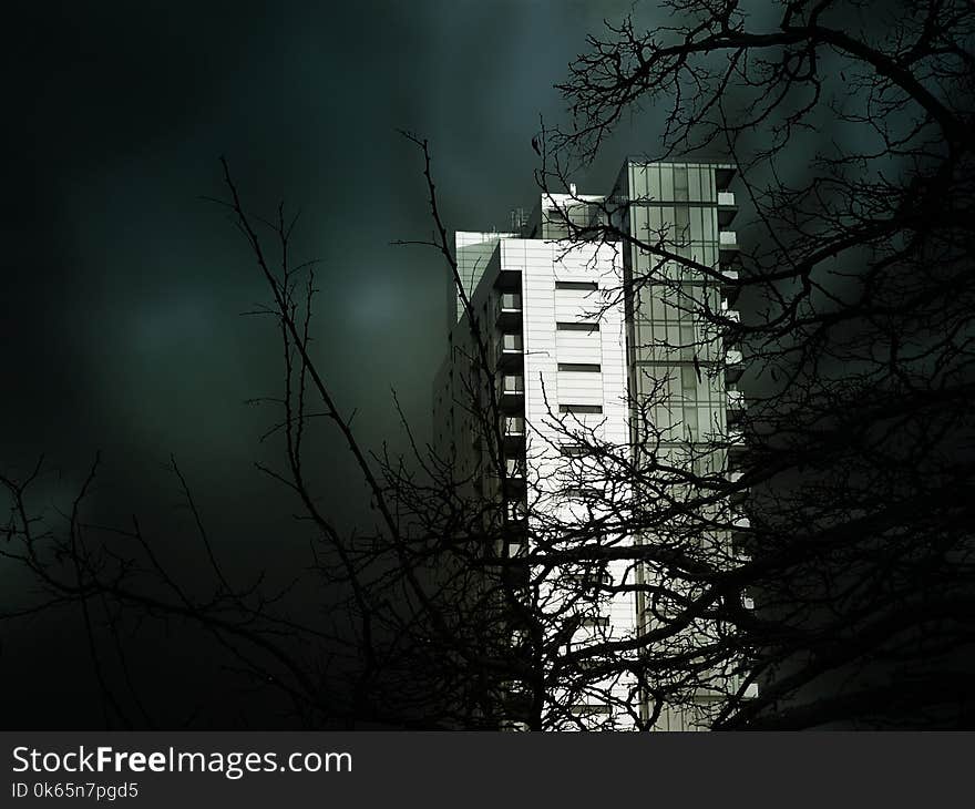 White Concrete Building