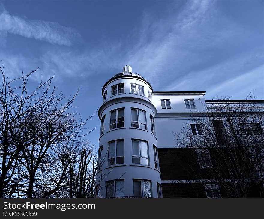 White 4-storey Mansion Surrounded by Bald Trees