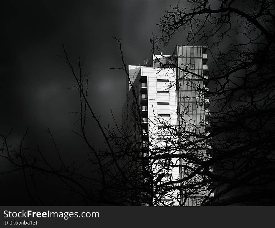 Grayscale Photo of Concrete High Rise Building