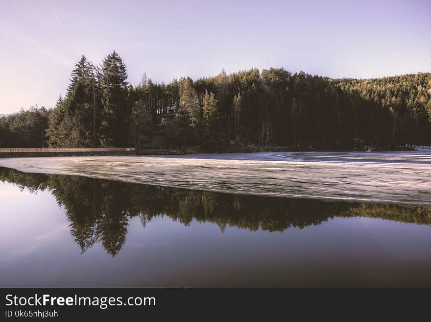 Green Trees Near River Wallpaper