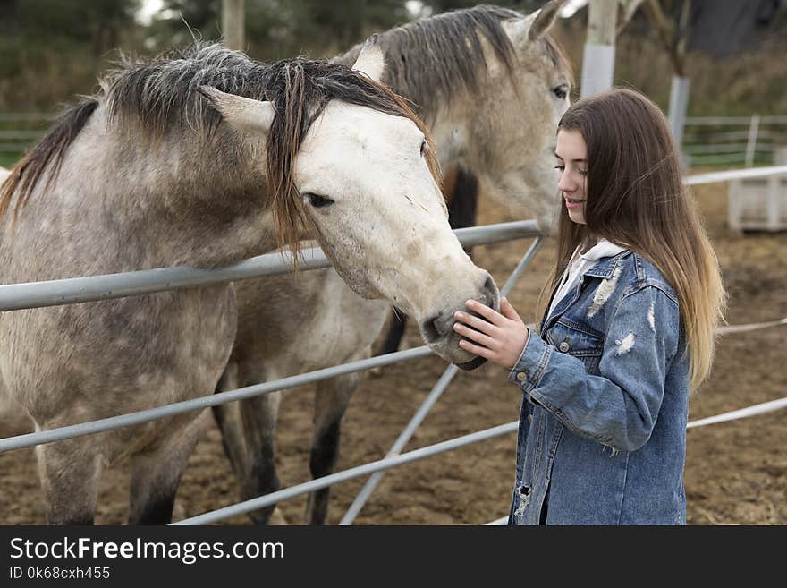 Young woman giving affection to some horses in a refuge of the province of Alicante in Spain. Young woman giving affection to some horses in a refuge of the province of Alicante in Spain.