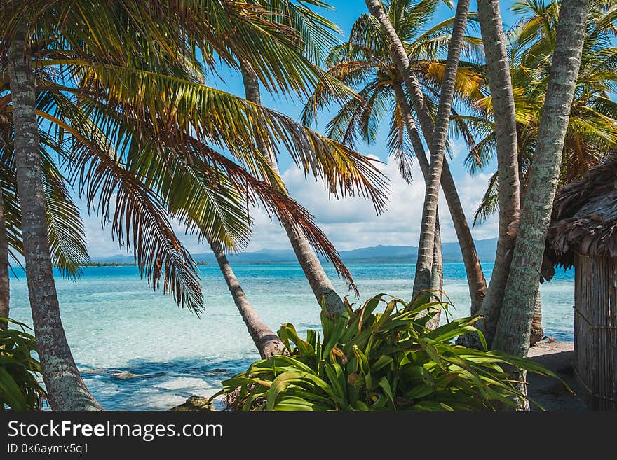 Palm trees hut and ocean - tropical island landscape -