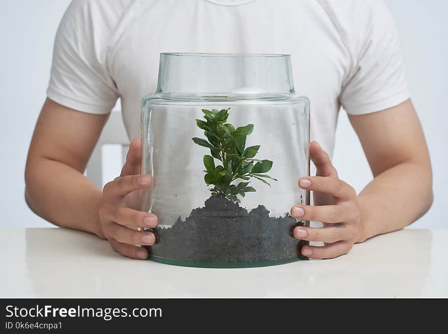 Cropped image of man caring about plant under glass dome. Cropped image of man caring about plant under glass dome