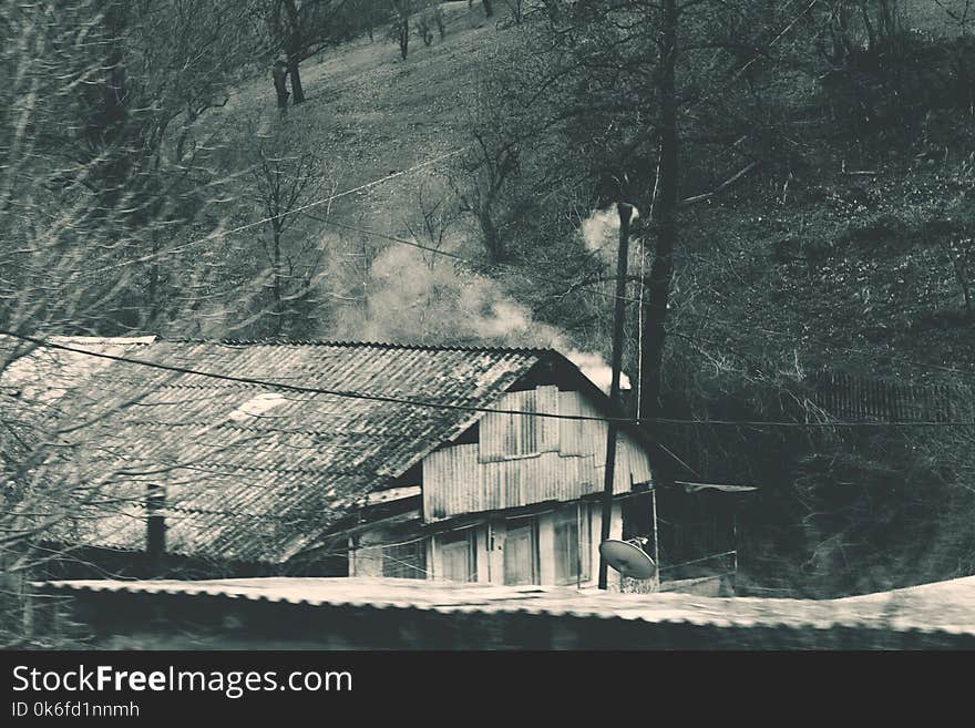 House Beside Trees