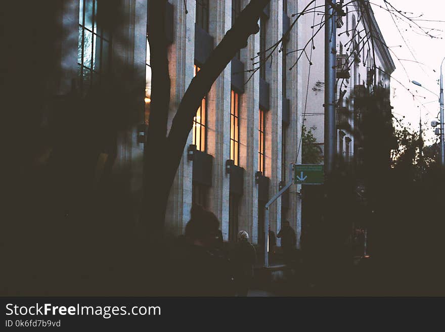 Building and Trees