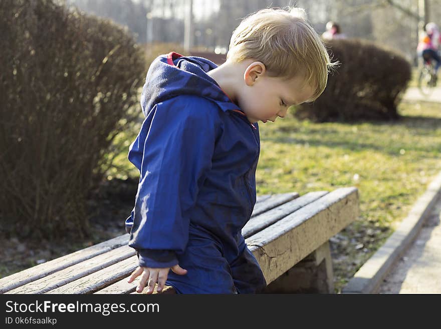 Adorable little toddler boy sitting on a bench at spring or autumn