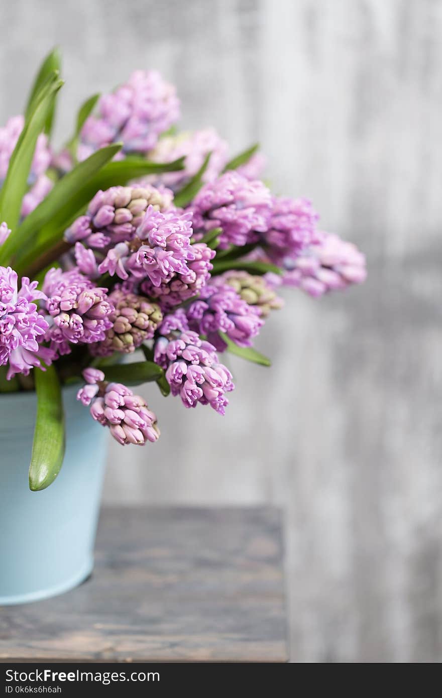 Bouquet of Beautiful violet and lilac hyacinths. Spring flowers in vase on wooden table. bulbous plant. Vertical photo