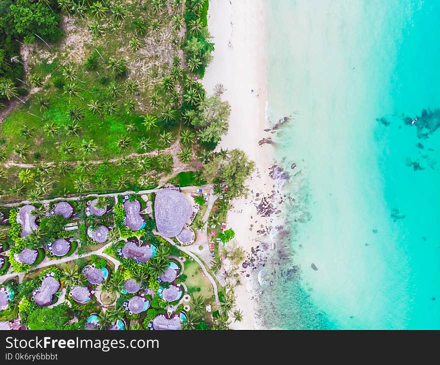 Aerial view of beautiful beach and sea with coconut palm tree