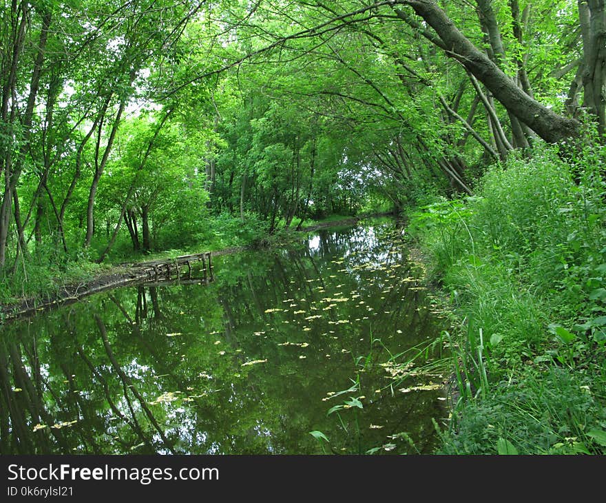 Summer cloudy day, a green thickets on the shores of a small river. Summer cloudy day, a green thickets on the shores of a small river