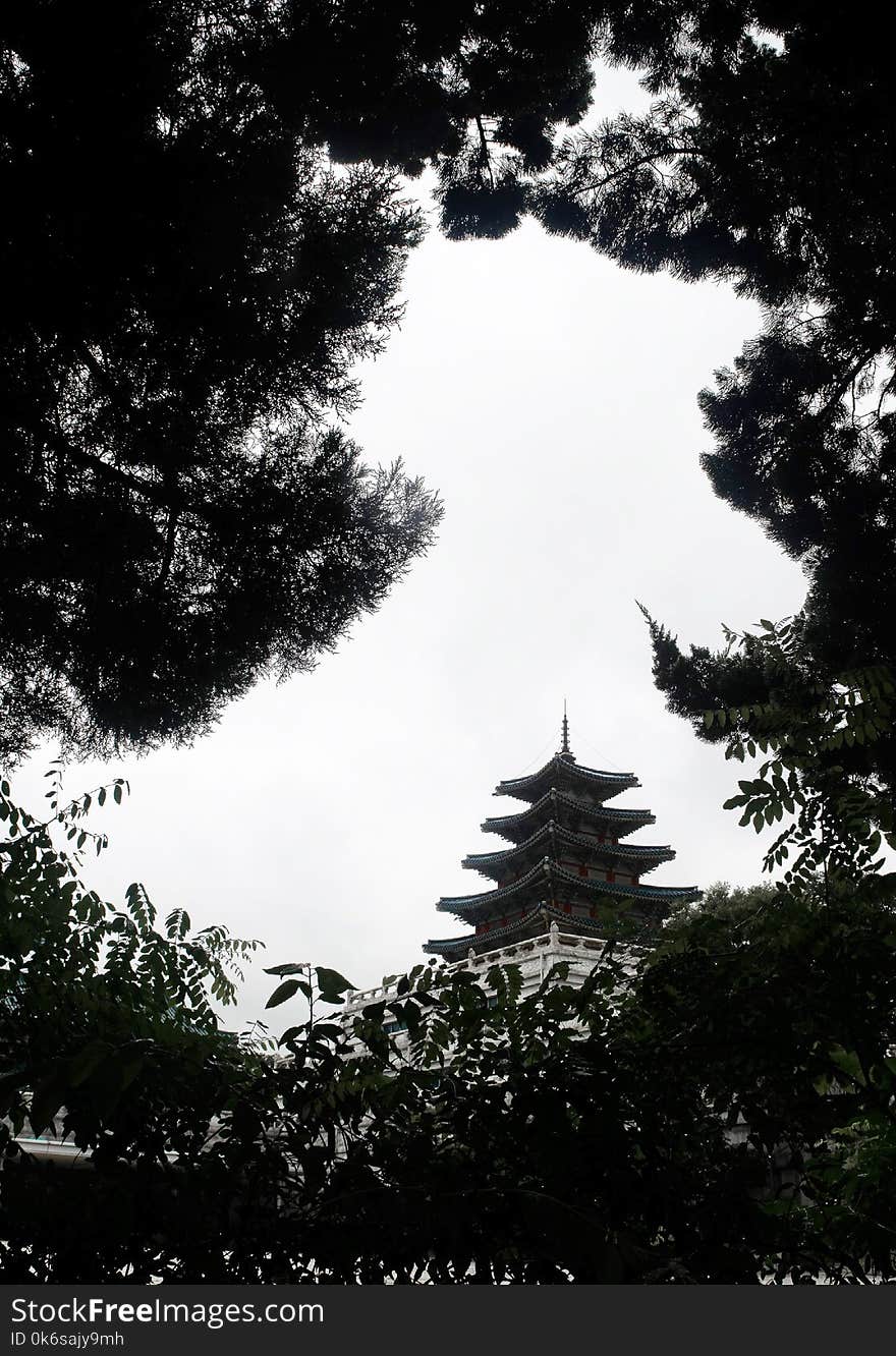 Photography of Black and White Temple