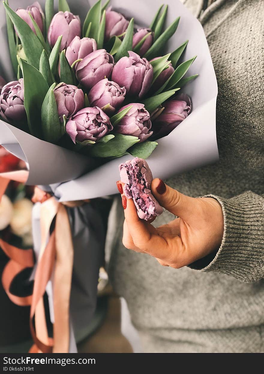 Person Holding Pink Tulip Bouquet