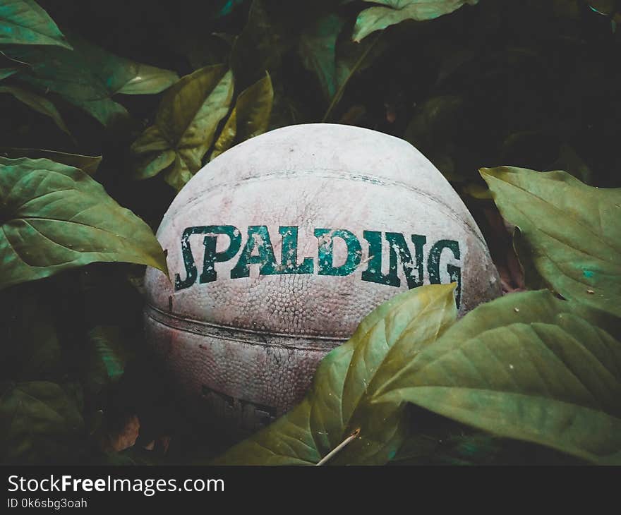 Photo of Old Spalding Ball