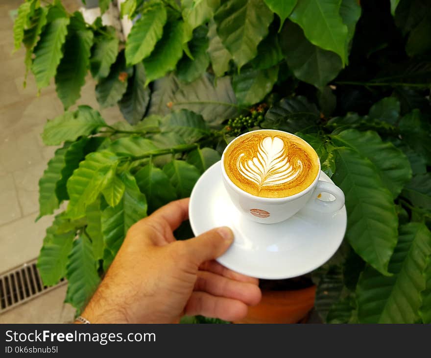 Person Holding White Ceramic Cup